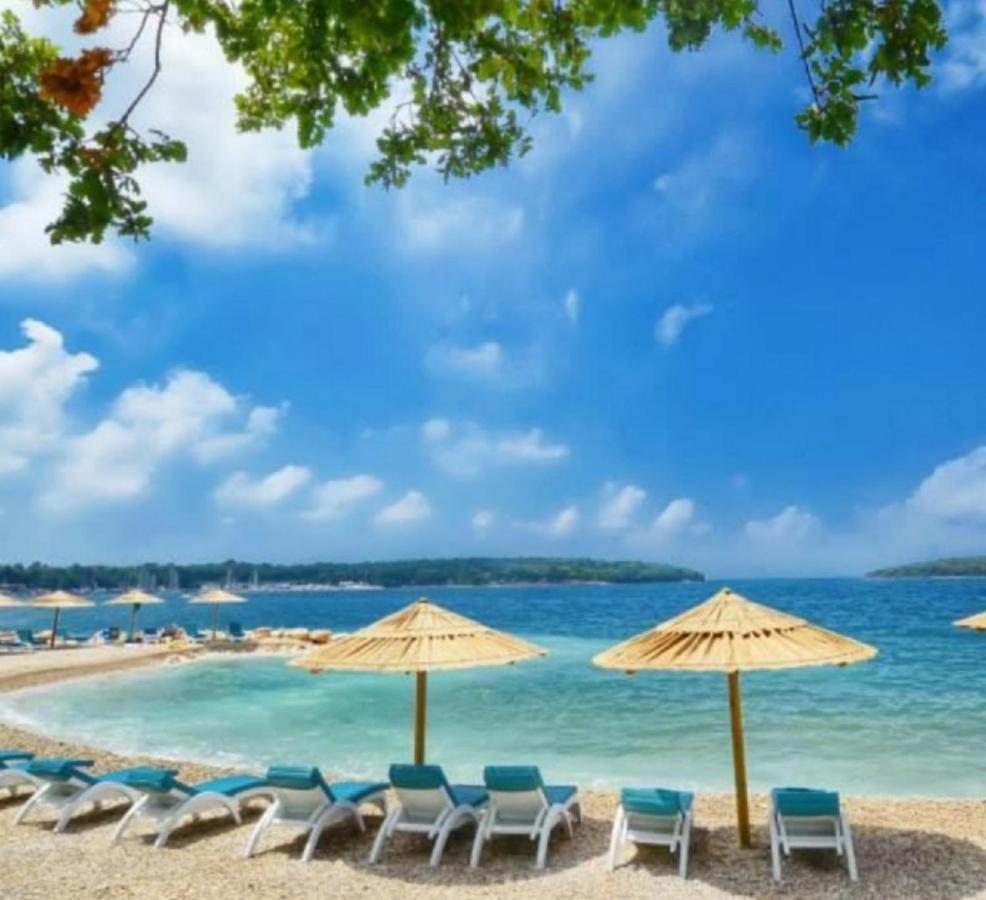 New!!! 2024 Marea Apartments With Xxl Sunny Terrace Poreč Buitenkant foto