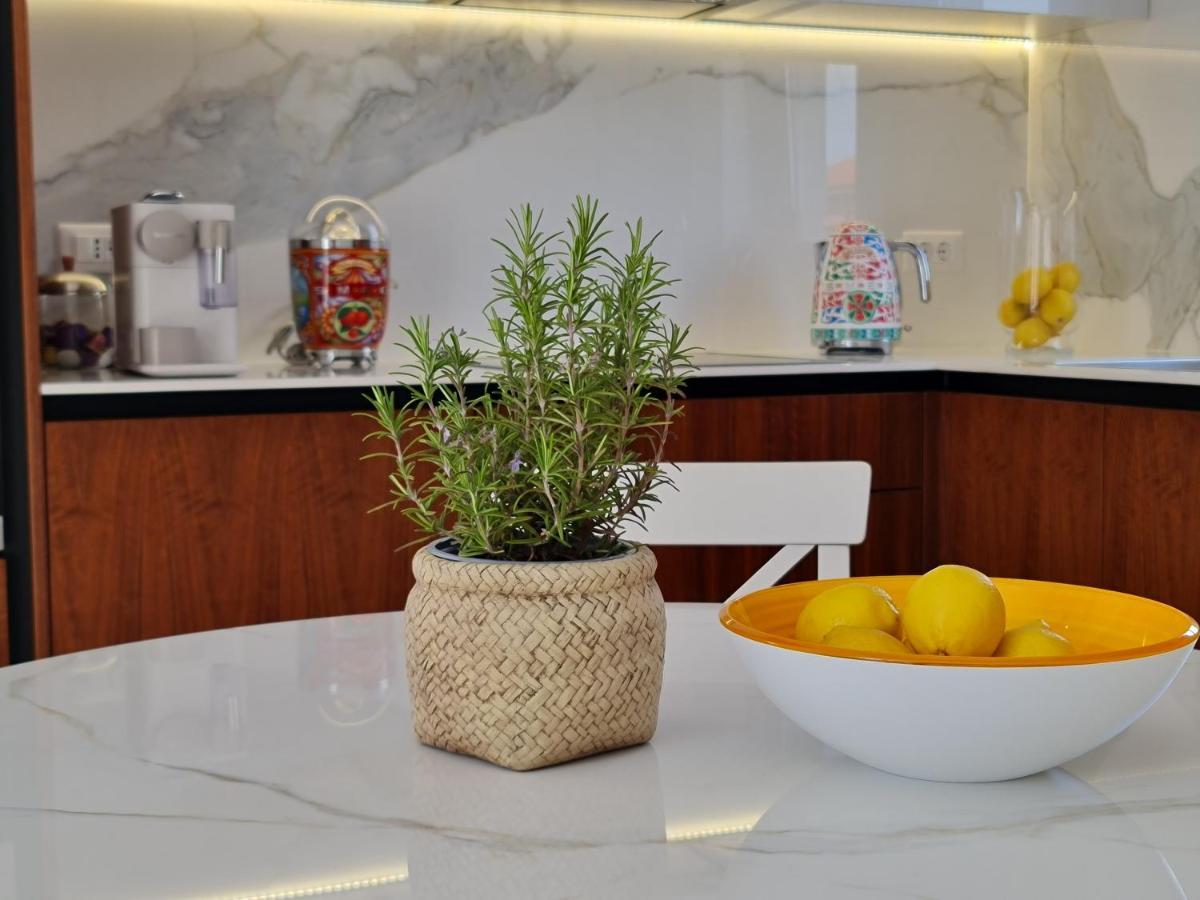 New!!! 2024 Marea Apartments With Xxl Sunny Terrace Poreč Buitenkant foto